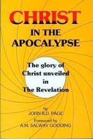 Christ in the Apocalypse (Used Copy)