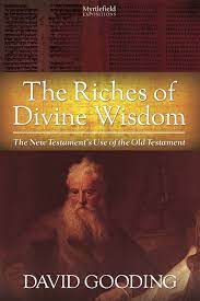 The Riches of Divine Wisdom: The New Testament’s Use of the Old Testament (Used Copy)