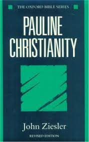 Pauline Christianity (Used Copy)