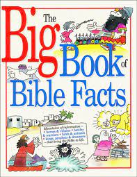 The Big Book of Bible Facts (Used Copy)