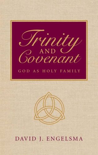 Trinity And Covenant (Used Copy)