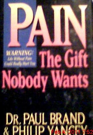 Pain The Gift Nobody Wants (Used Copy)