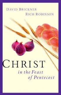 Christ in the Feast of Pentecost (Used Copy)