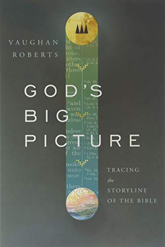 God’s Big Picture: Tracing the Storyline of the Bible (Used Copy)