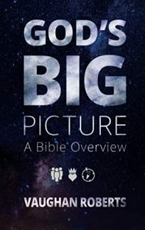 God’s Big Picture (Used Copy)