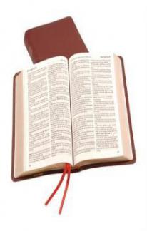 Holy Bible: TBS: Leather