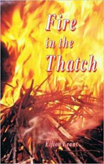 Fire in the Thatch: The True Nature of Religious Revival