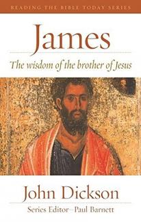 James: The Wisdom of the Brother of Jesus (Used Copy)