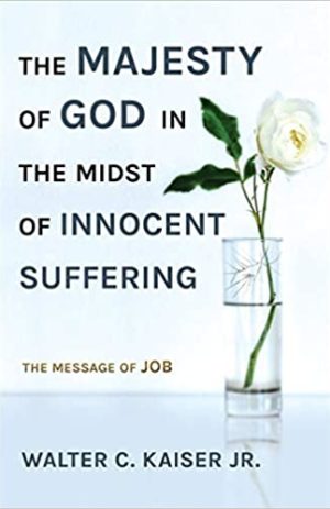 The Majesty of God in the midst of suffering – the message of Job
