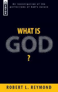 What is God (Used Copy)