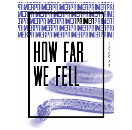 How Far We Fell – Primer Issue 2 (Used Copy)