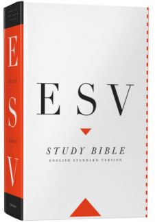 ESV Study Bible Large Print HB