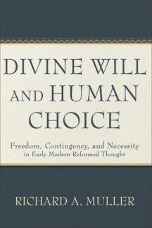 Divine Will and Human Choice (Used Copy)