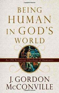 Being Human in God’s World