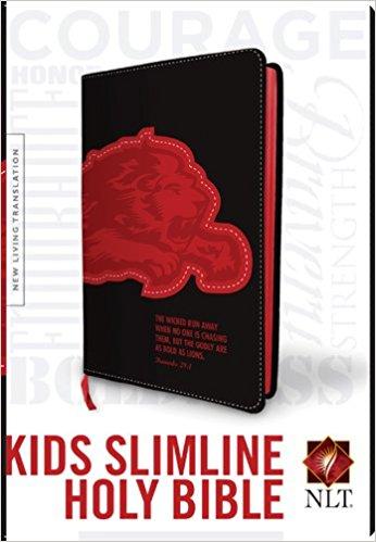 Kid’s Slimline Holy Bible