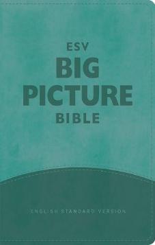 ESV Big Picture Bible (used)