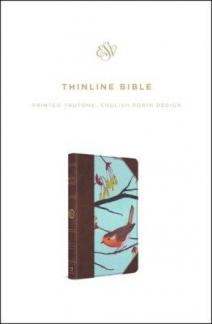 ESV Thinline Bible English Robin Design