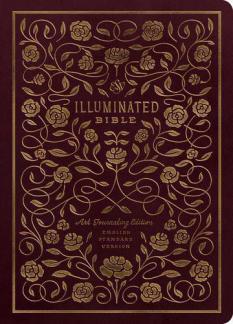 ESV Illuminated Art Journaling Edition