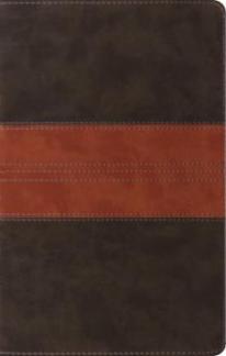 ESV Thinline Reference Bible Forest/Tan