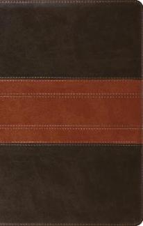 ESV Large Print Thinline Reference Bible, Trutone, Forest/Tan Trail Design