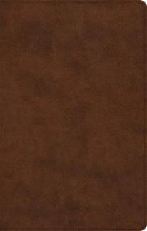 ESV Large Print Thinline Reference Bible, Trutone, Brown