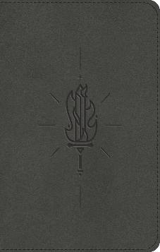 ESV Kid’s Bible Compact, TruTone, Sword of the Spirit Design