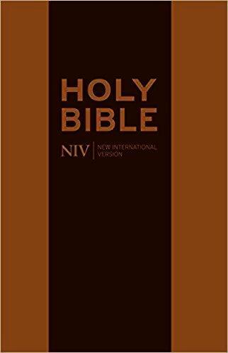 NIV Traveller’s Bible (With Zip)