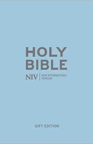 NIV Bible Pastel Blue