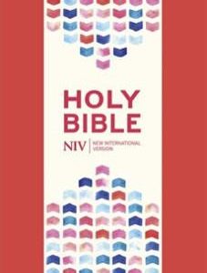 NIV Thinline Coral Pink Soft-tone Bible with Zip