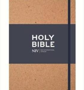 NIV Tan Single – Column Journaling Bible Anglicised