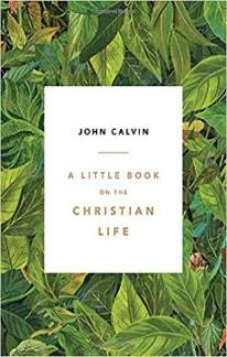 A Little Book on the Christian Life (Kindle eBook)