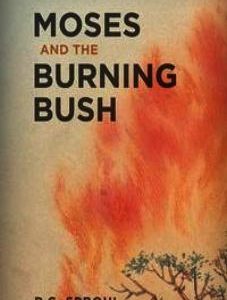 Moses and the Burning Bush (Kindle eBook)