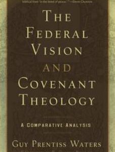 The Federal Vision and Covenant Theology (Used Copy)