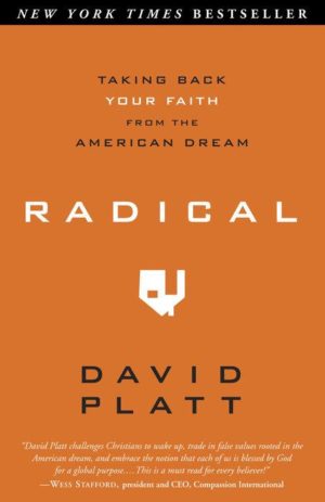 Radical – Taking Back Your Faith from the American Dream