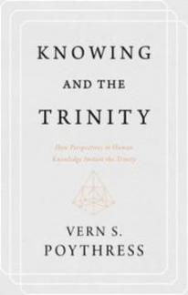 Knowing the Trinity: How Perspectives in Human Knowledge Imitate the Trinity (Used Copy)