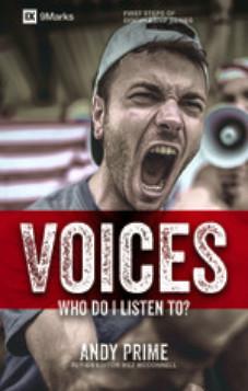 Voices – Who am I listening To?