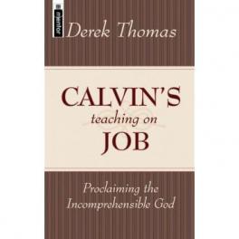 Calvin’s Teaching on Job