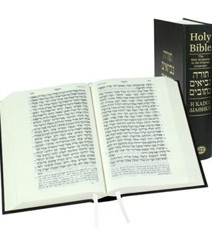 Hebrew and Greek Biblical Languages Bible