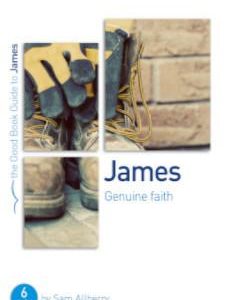 The Good Book Guide to James