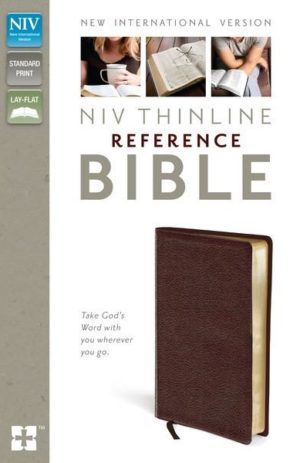 NIV Burgundy Thinline Reference Bible