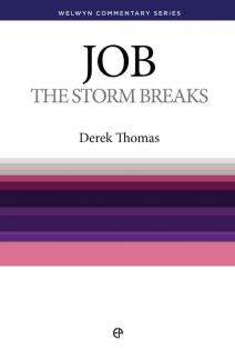 WCS Job – The Storm Breaks