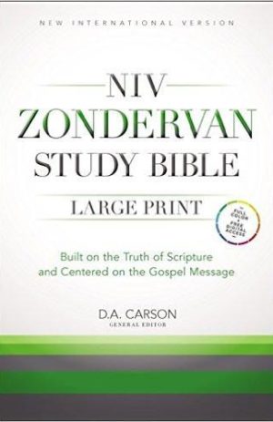 NIV Study Bible Large Print Hardback (New International Version)