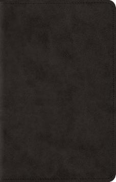 ESV Large Print Compact Bible (Black)