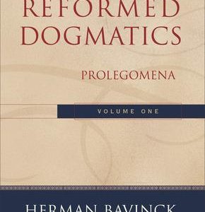 Reformed Dogmatics: Volume 3 – Sin and Salvation in Christ