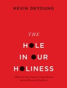 The Hole in Our Holiness (Used Copy)