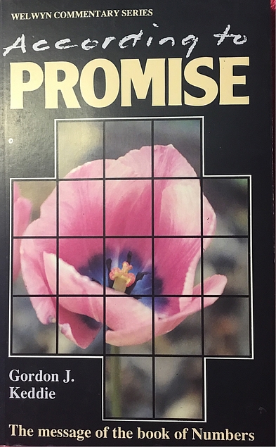 According to promise : the message of the book of Numbers (Used Copy)