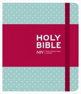 NIV Jornalling Bible Mint Polka Dots