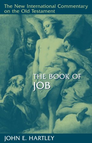 The Book of Job (Used Copy)