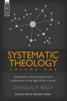 Systematic Theology Vol 1 (Used Copy)