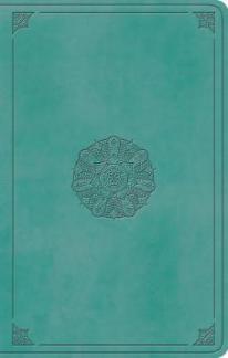 ESV Large Print Value Thinline Bible (Turquoise)